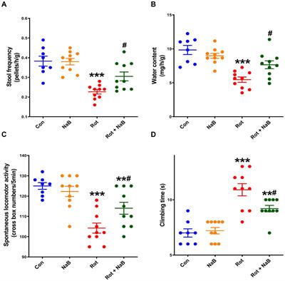 Sodium butyrate ameliorates gut dysfunction and motor deficits in a mouse model of Parkinson’s disease by regulating gut microbiota